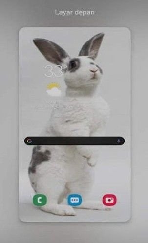 New Rabbit wallpaper