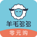 羊毛多多优惠券app软件下载 v1.0