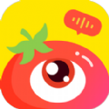 番茄派对app安卓版 v1.0