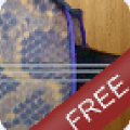 琵琶乐器app免费版软件 v1.0