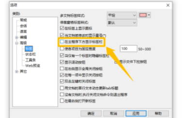 EverEdit怎么设置在程序下方显示标签栏