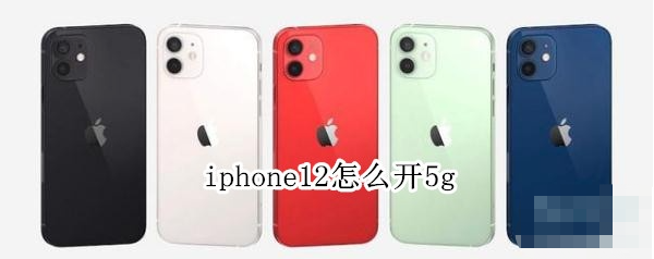 iphone12怎样启用5g网络