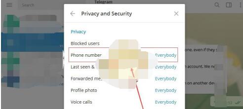 telegram怎么隐藏手机号