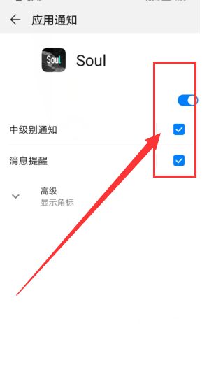 soul怎么开启消息提醒