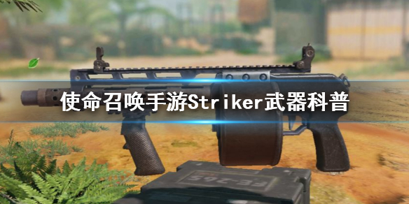 使命召唤手游Striker是什么