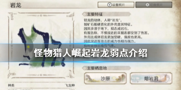 怪物猎人崛起岩龙弱点在哪