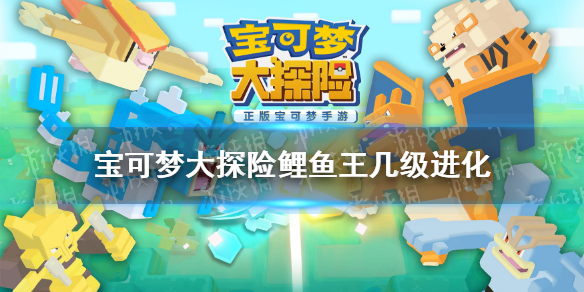 宝可梦大探险鲤鱼王几级进化