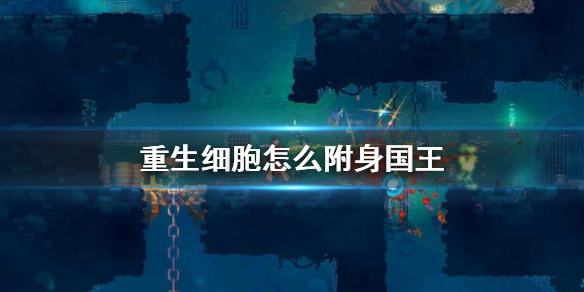 重生细胞怎么附身国王