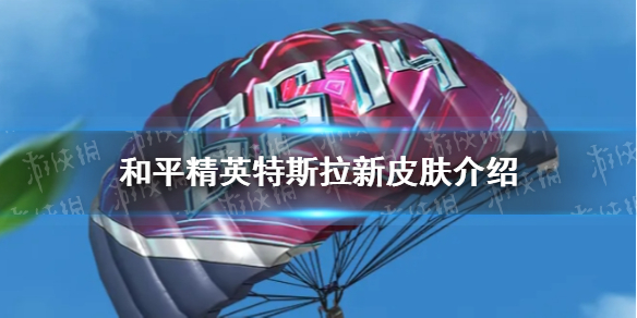和平精英特斯拉新皮肤一览