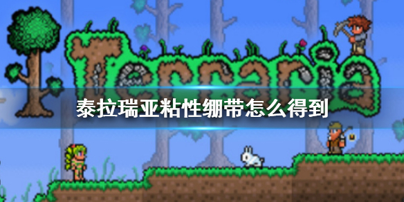 泰拉瑞亚粘性绷带怎么得到