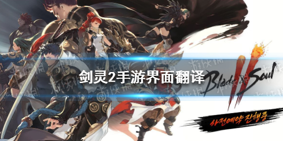 网1