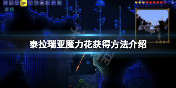 《泰拉瑞亚》魔力花怎么获得